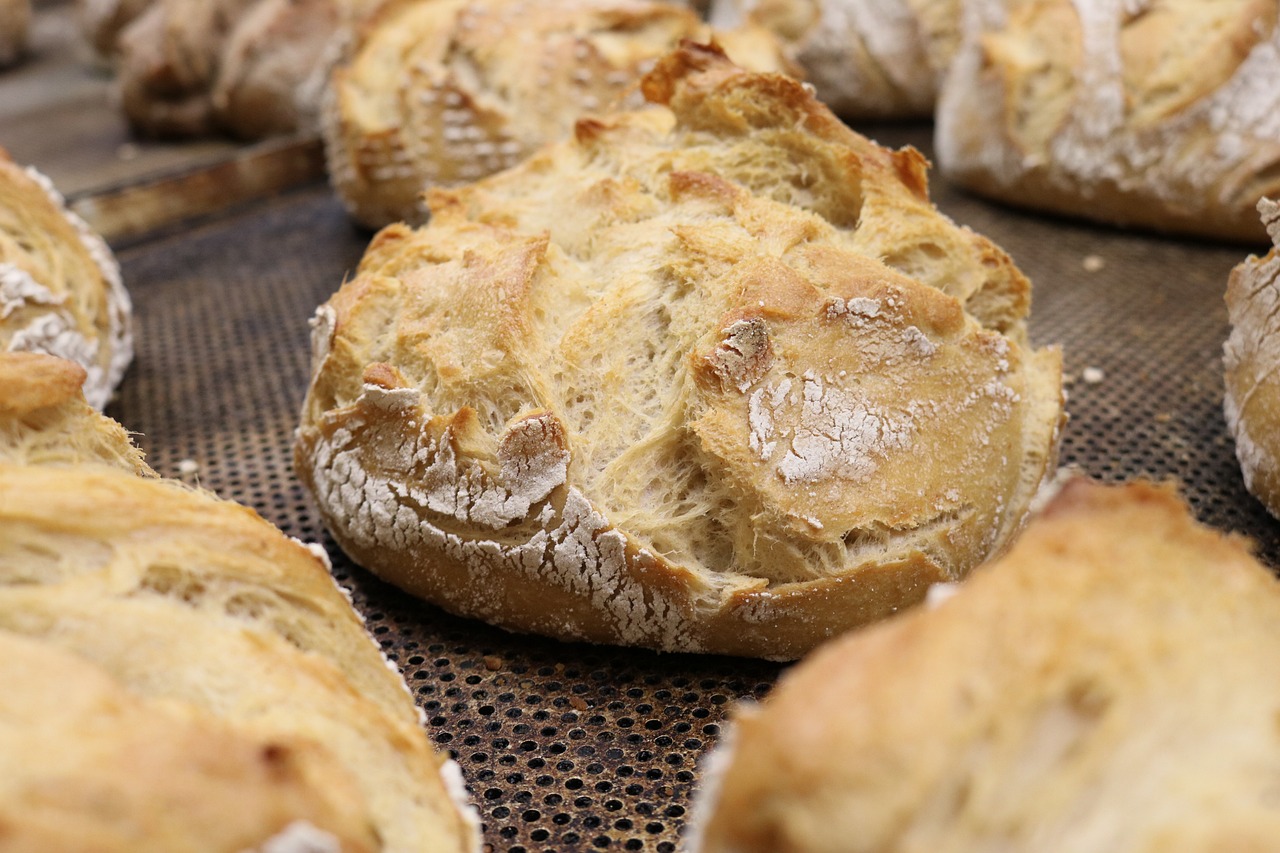 memulai bisnis roti sourdough