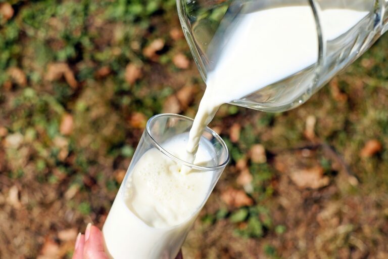 Susu