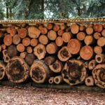 kayu yang kokoh untuk rumah