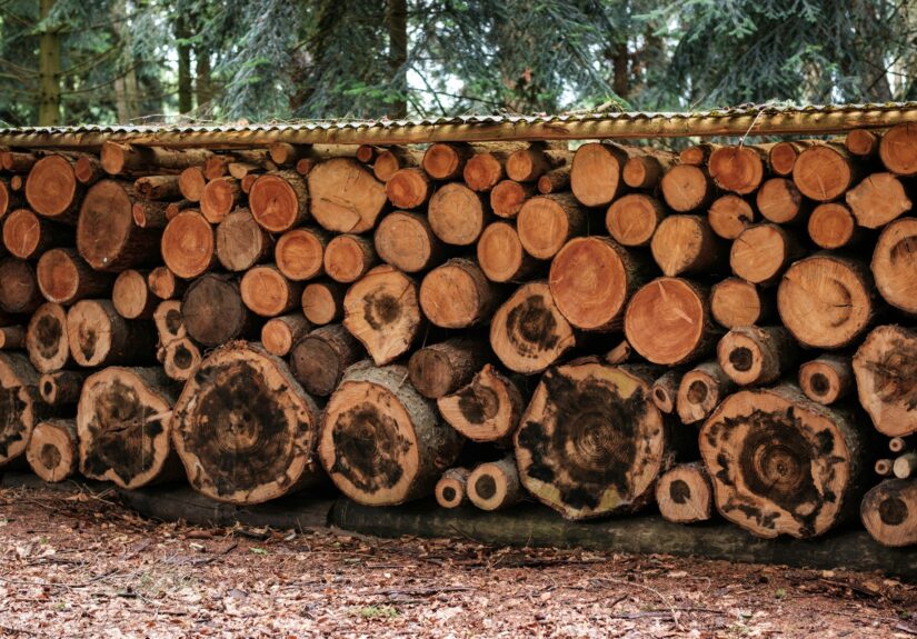 kayu yang kokoh untuk rumah